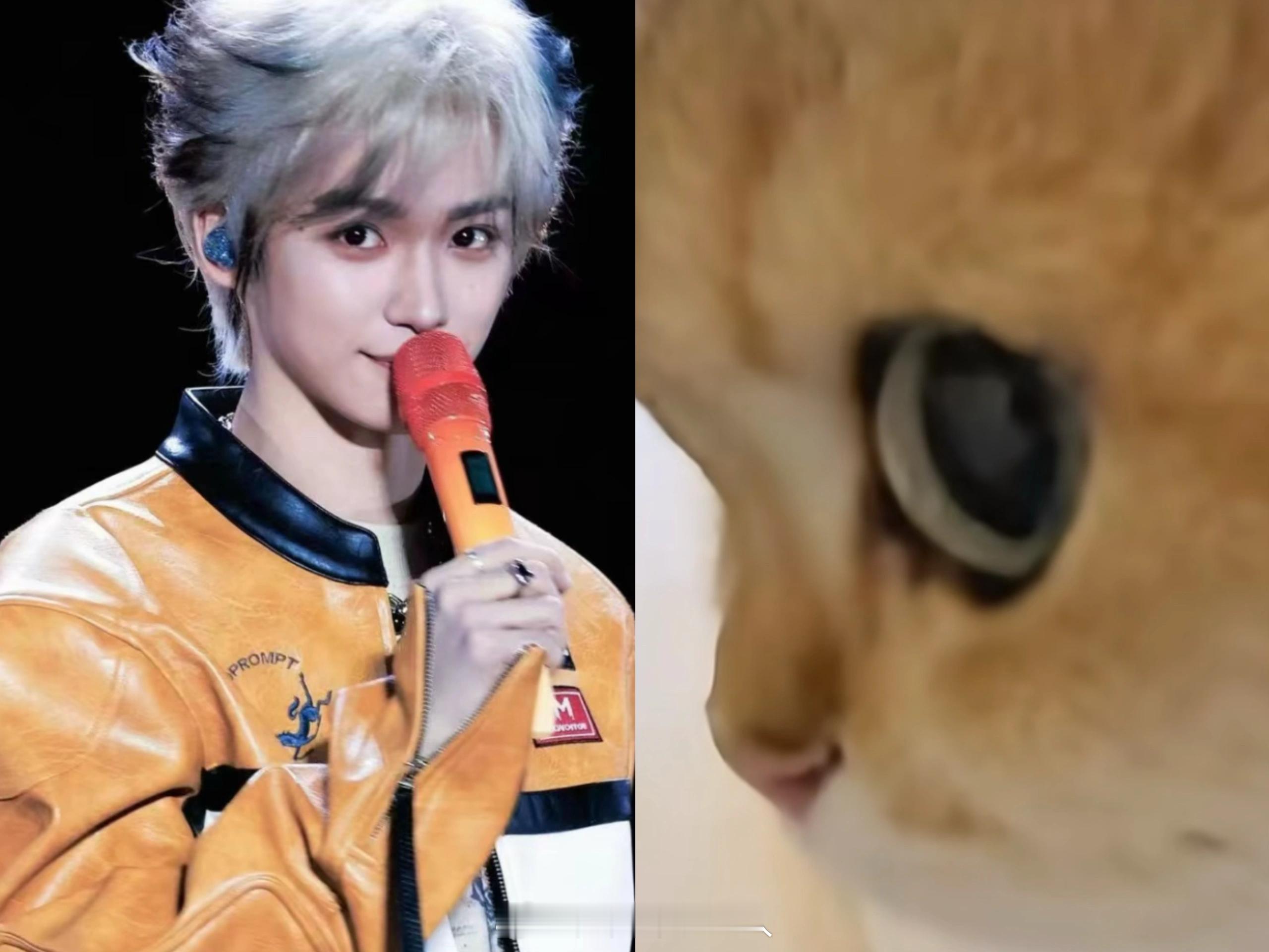 梓渝是猫猫的证据找到啦梓渝终于养猫了