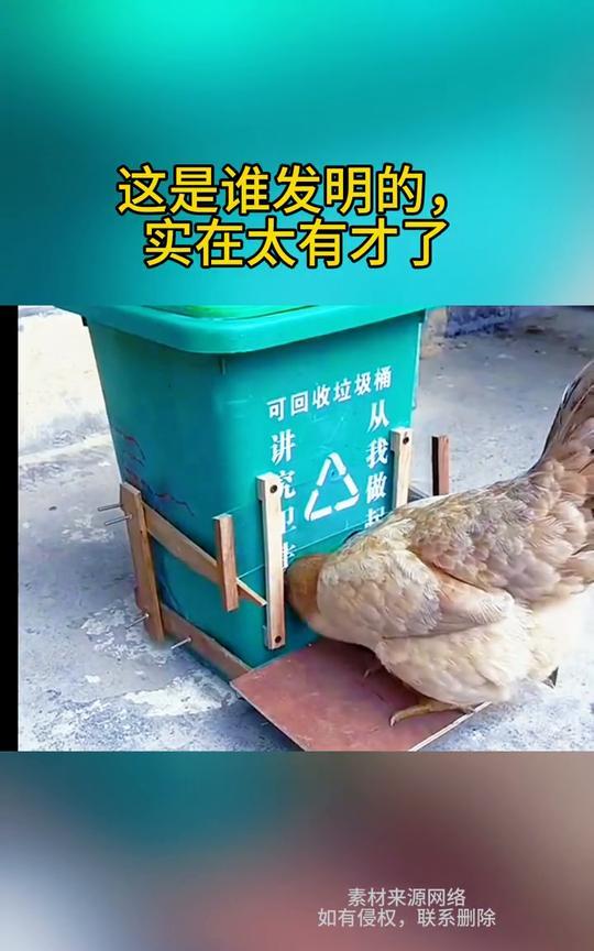 这是谁发明的，实在太有才了。注意看，养鸡场老板由于总是没时间回家，便突发奇想自