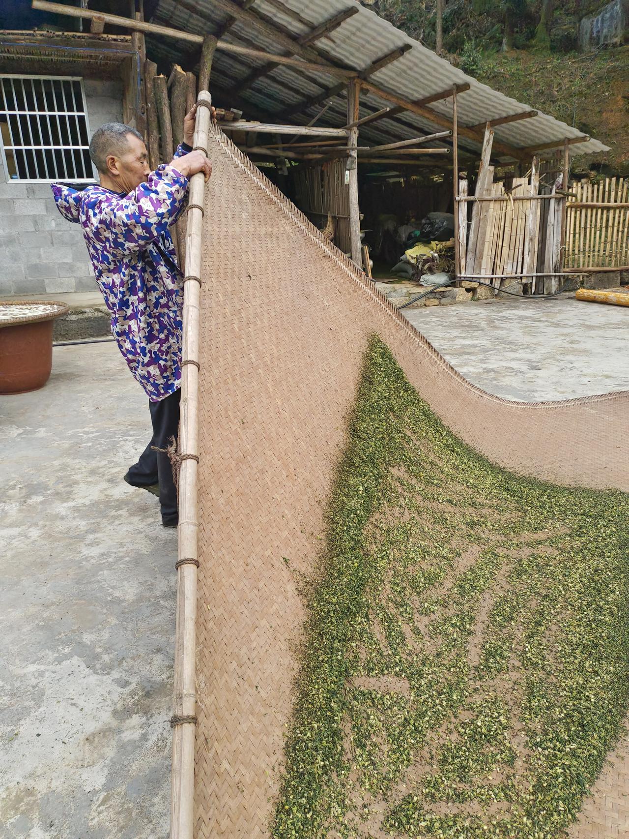 有谁知道这个是什么东西吗？