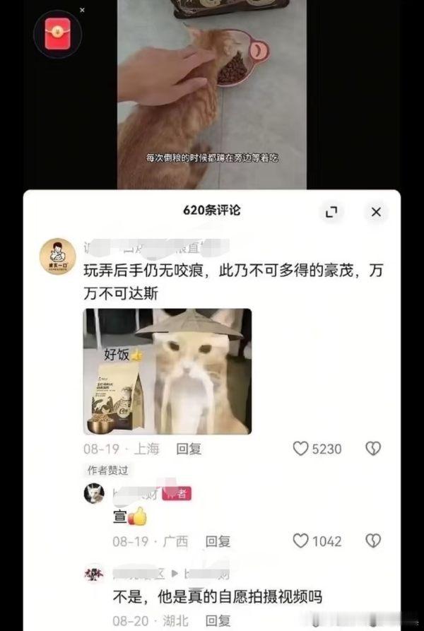 【避雷】猫粮品牌诚//实//一//口找nue猫楠做推广