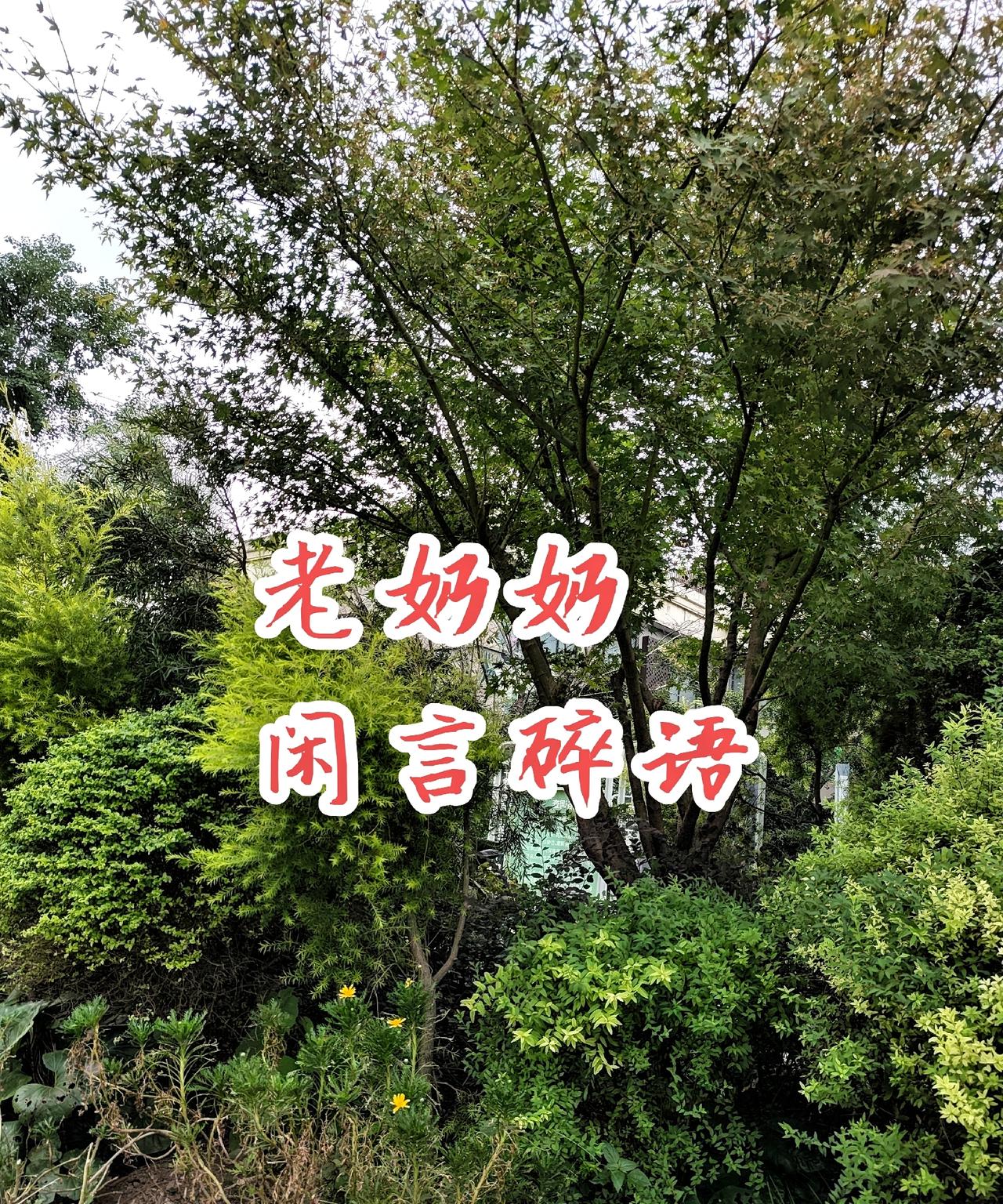 叶檀:如果没有这场大病，我们大概一辈子感受不到风是甜的，水是清的，感受不到人性