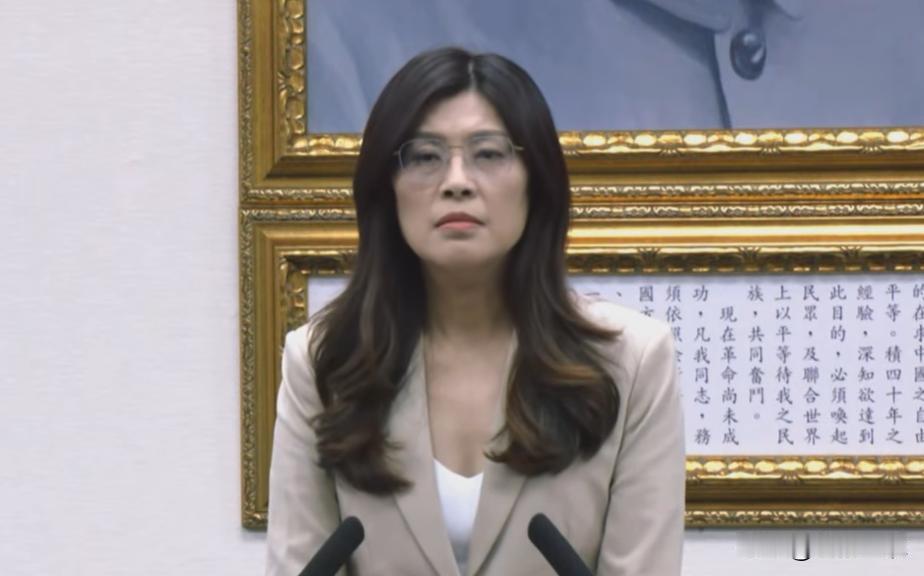 宣战赖清德！郑丽文：从今开始作战至2028国民党主席郑丽文今天（17日）下