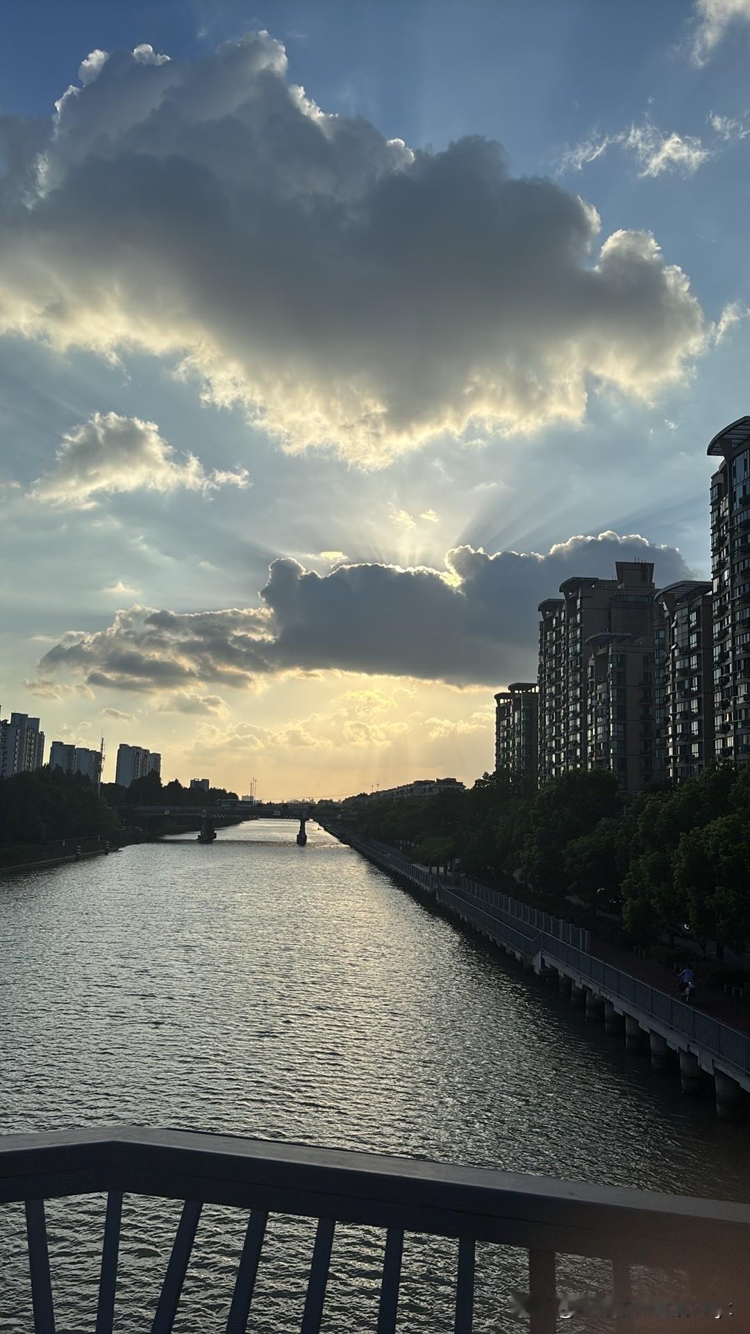 上海现在的人口状况，其实就是低生育率和老龄化互相套死的死循环。之前看到数据说2