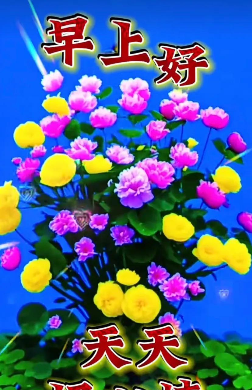 花开花落，愿你平安吉祥。早上好！周末愉快！#吉祥花儿##一树花开的惊喜#