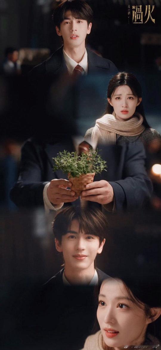 这一秒过火第五集好品不只有主线好嗑，柏则海棠青支线细腻动人，温柔双向心动，每天
