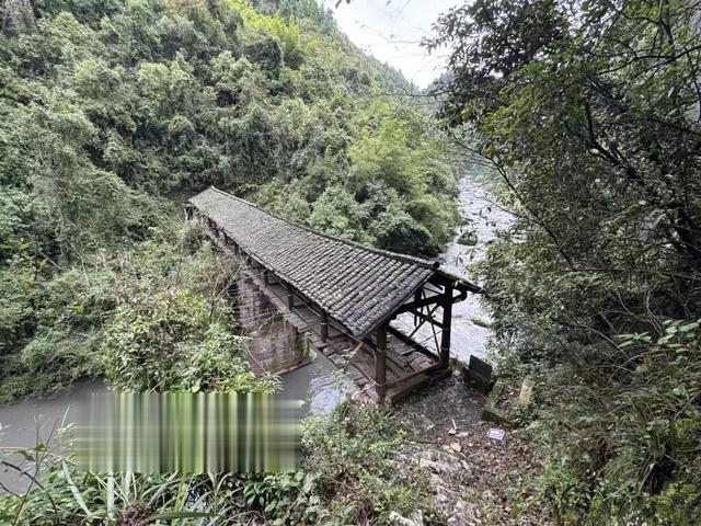 重庆通报: 初步判断被污染, 正全面排查