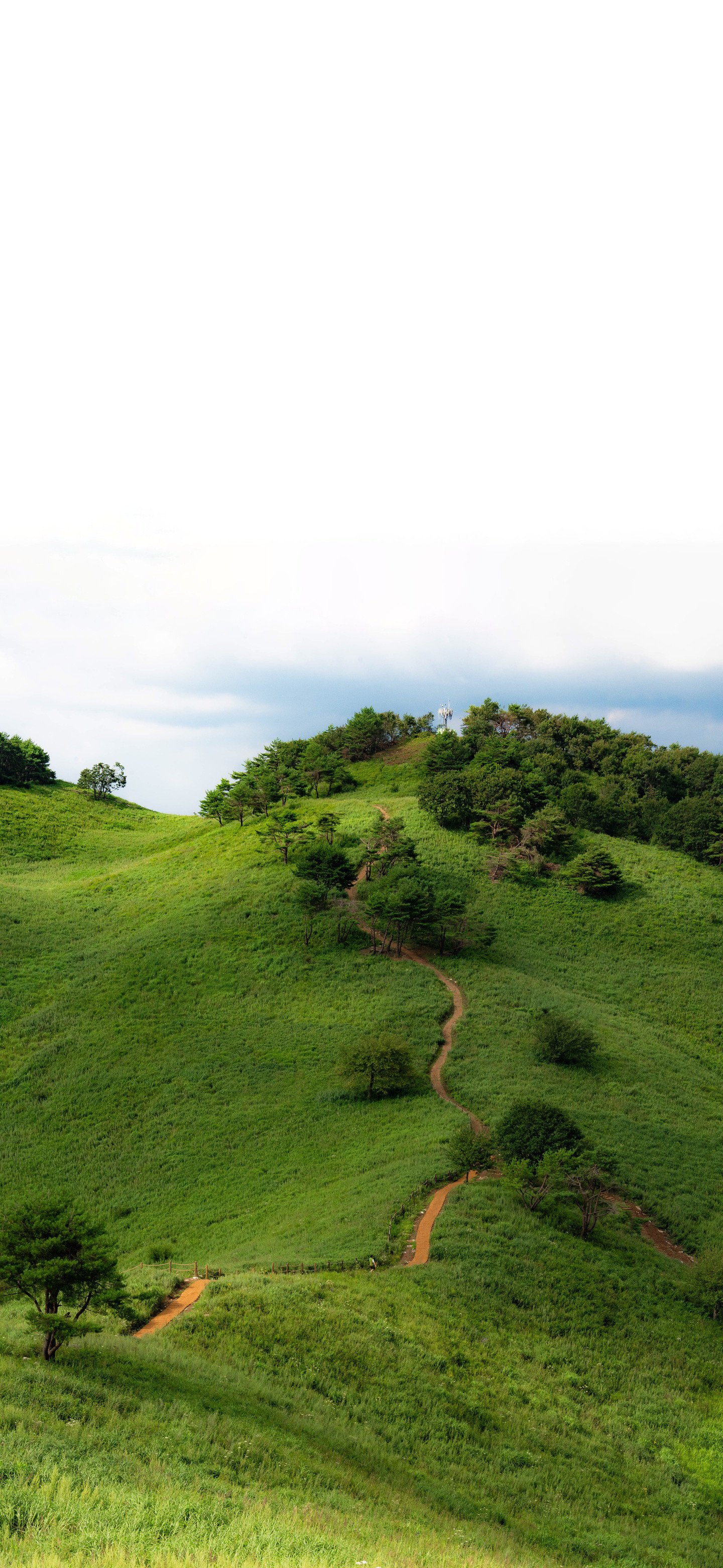 小伙伴们早过的真快，都初四了。今天大家什么安排？风景壁纸