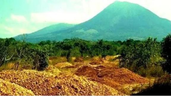 1997年，一果汁生产商将1.2万吨橘子皮，倒在了自然保护区，因此被起诉到了法院