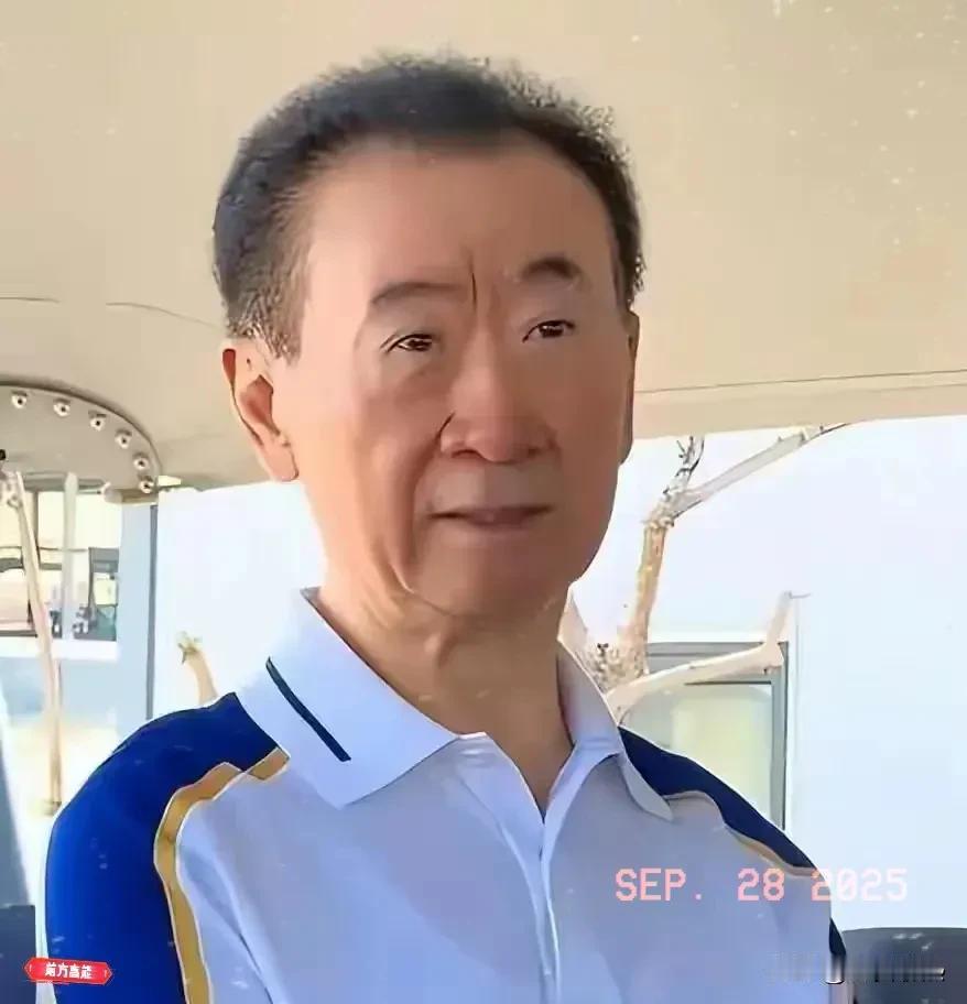 王健林也成“老赖”了？这回不是小目标，是4个亿。当年在哈佛掷地有声“清华北大不如