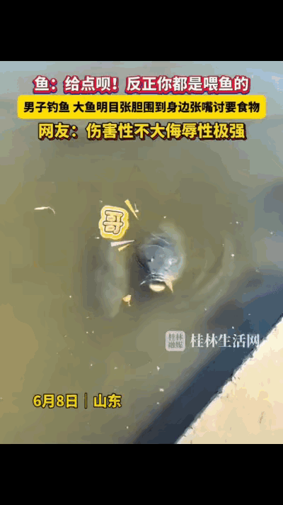 笑不活了！2025年11月2日山东青岛崂山区王哥庄港西垂钓园里，一名男子提着满满