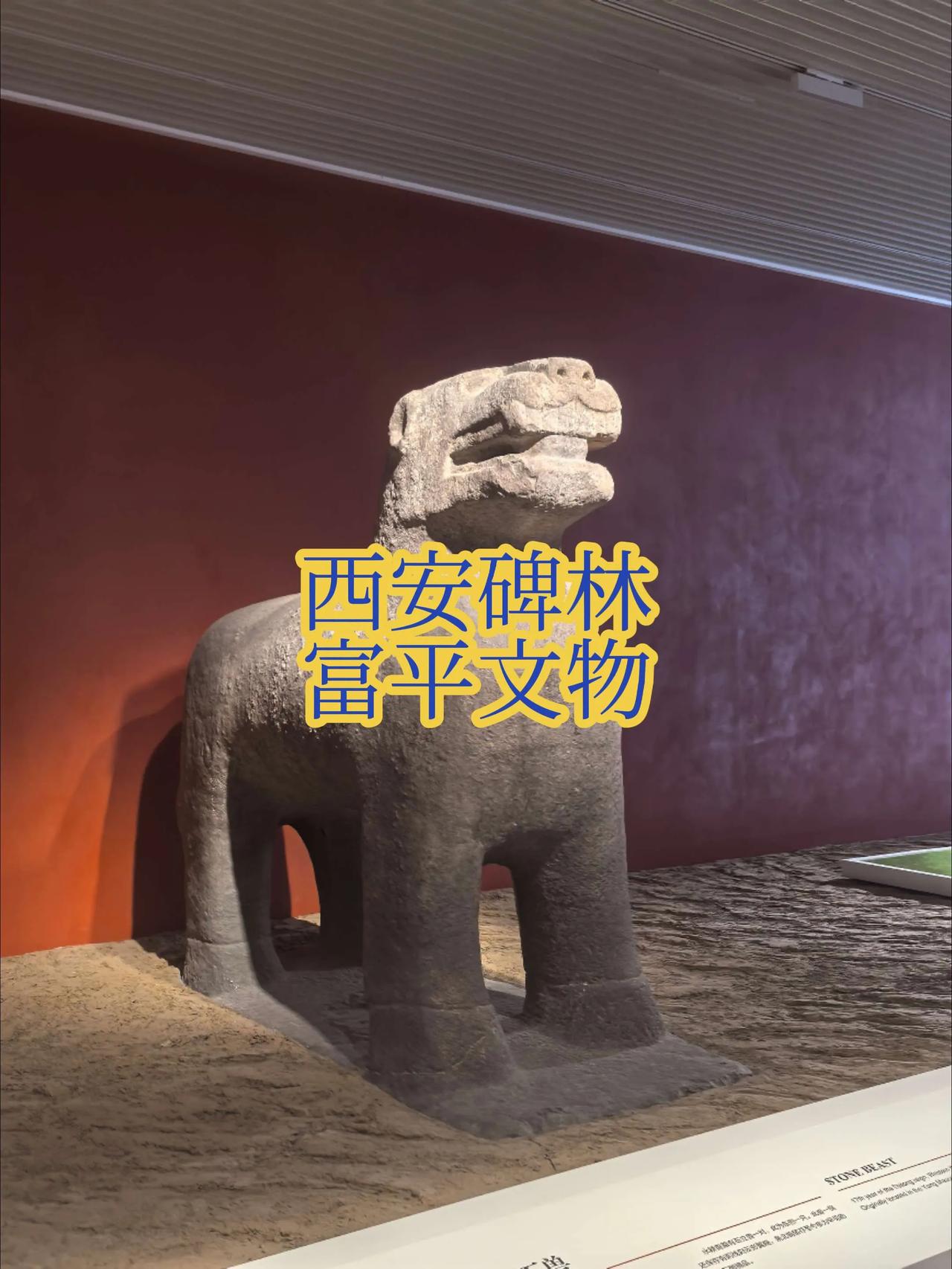 今天是个特殊的节日，世界博物馆日，我在碑林博物馆里见到一群“特殊的老乡”，它们是