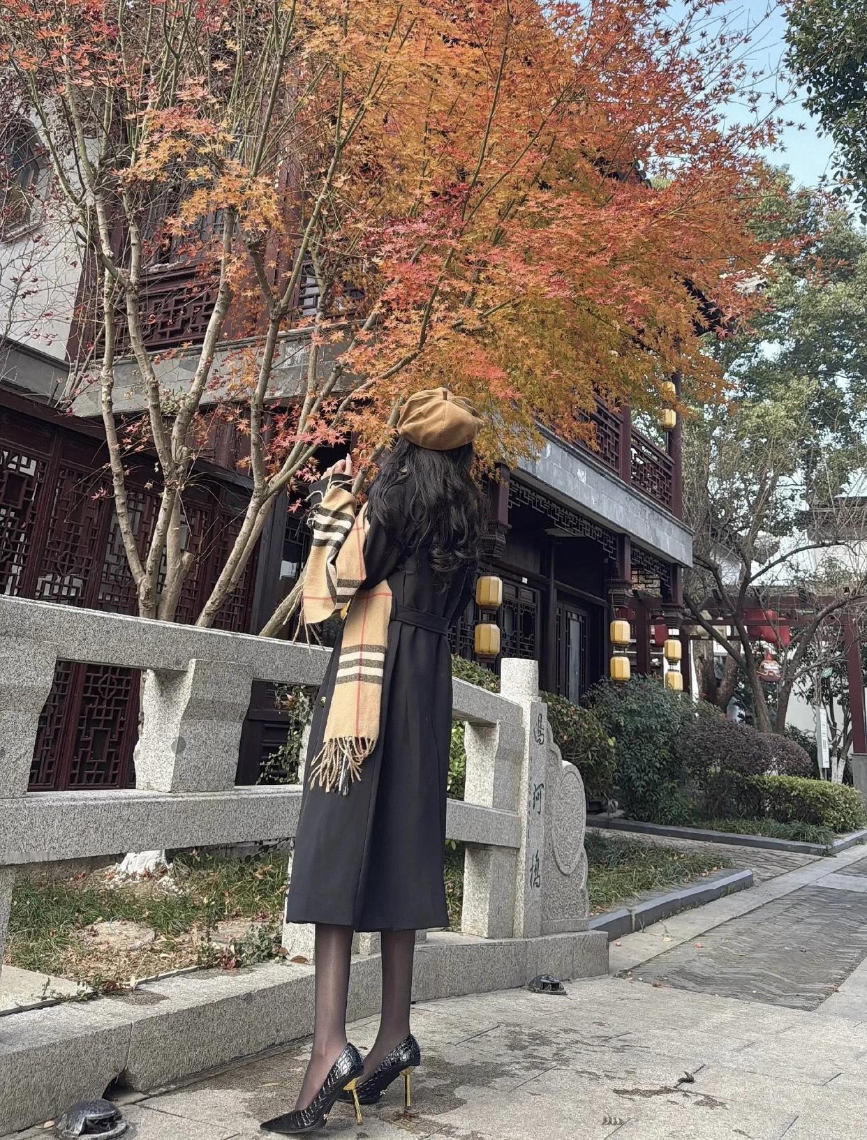 红叶映秋风，古韵入画来。枫叶红时秋景美