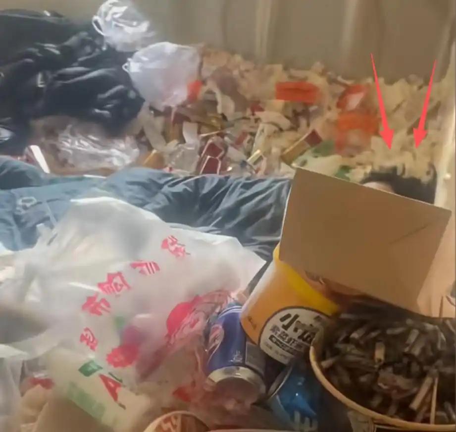 “人怎么会懒成这样？”上海，一名中介上门收租，可推开门的一瞬间傻眼了，屋里的垃圾