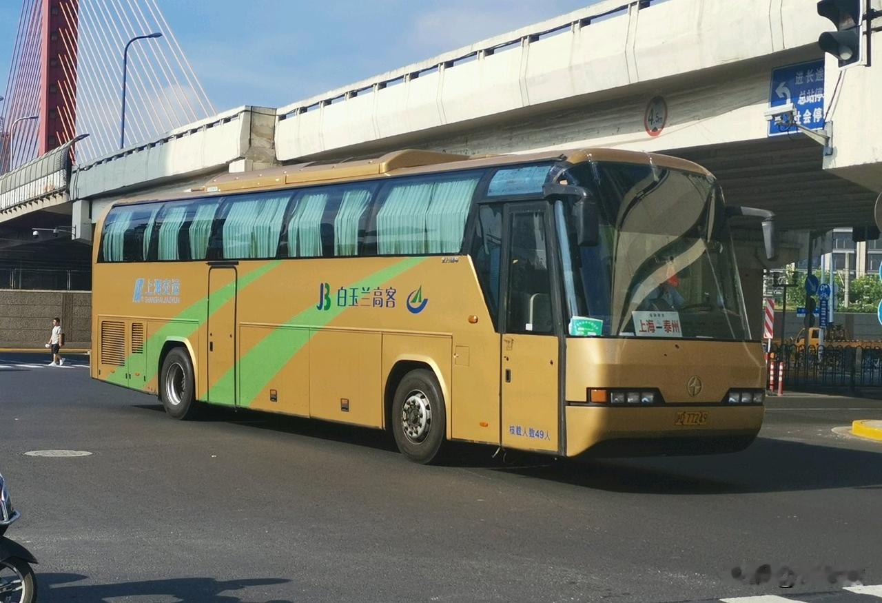 经典客运品牌—上海白玉兰高客（五）上海—泰州上海—靖江上海—元竹上海—南
