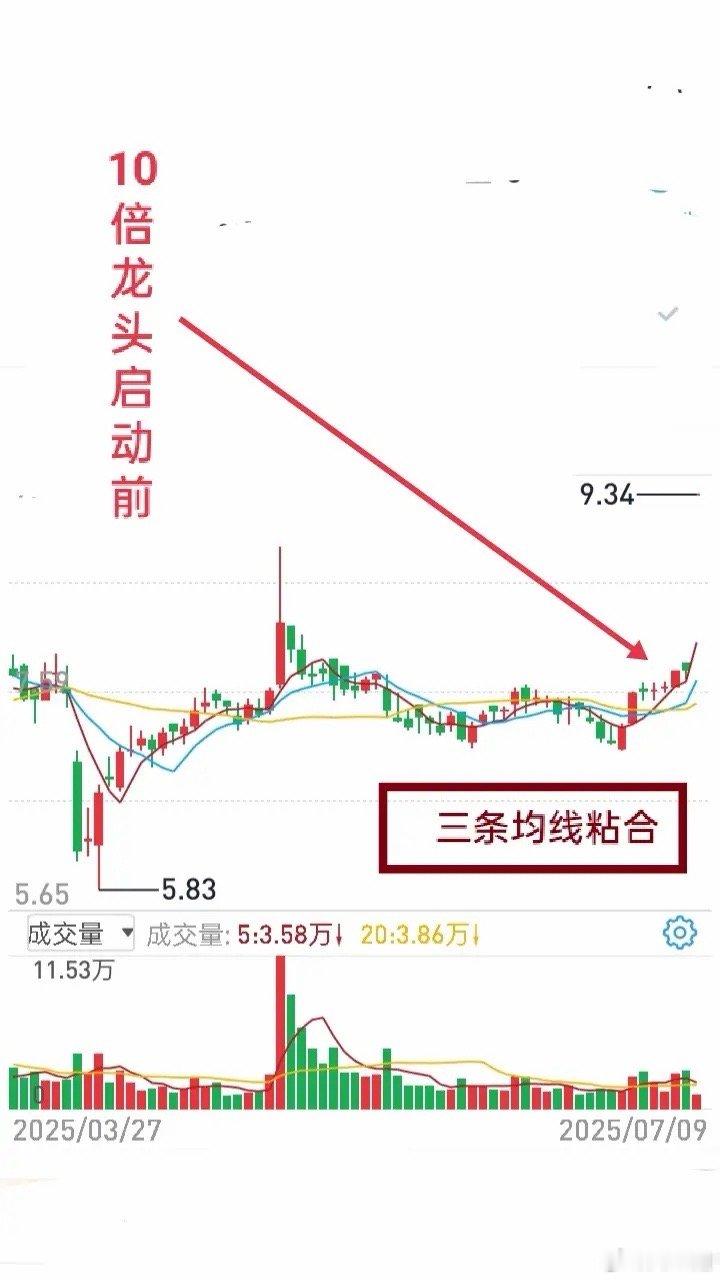 2015年龙头回顾(七)翻十倍的妖股，谁看了都会心动。2015年7月这只龙头，以