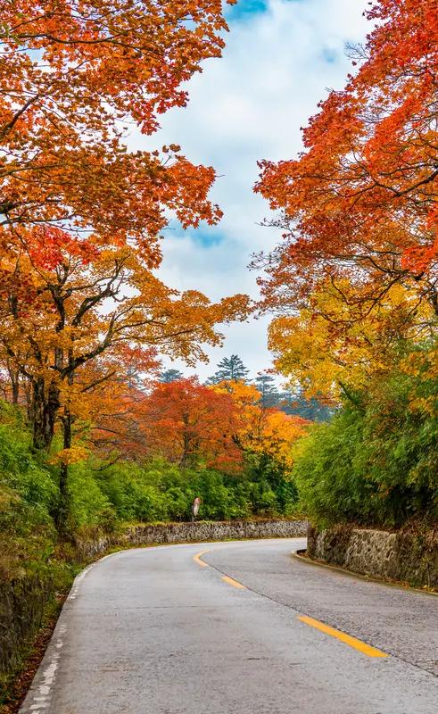 一张图证明秋天来了看到一张图，直接把秋天的氛围感拉满。图里，一行秋鸿正振翅往南