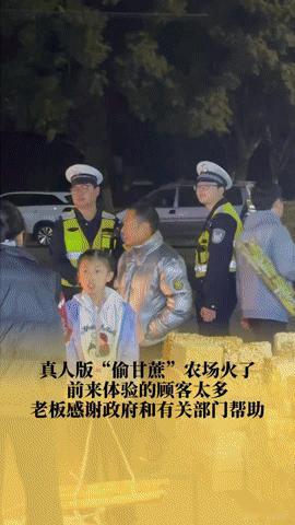 半夜还在挤！眉山“偷甘蔗”农场火出圈，这波操作暖到心坎里“你见过半夜还挤满