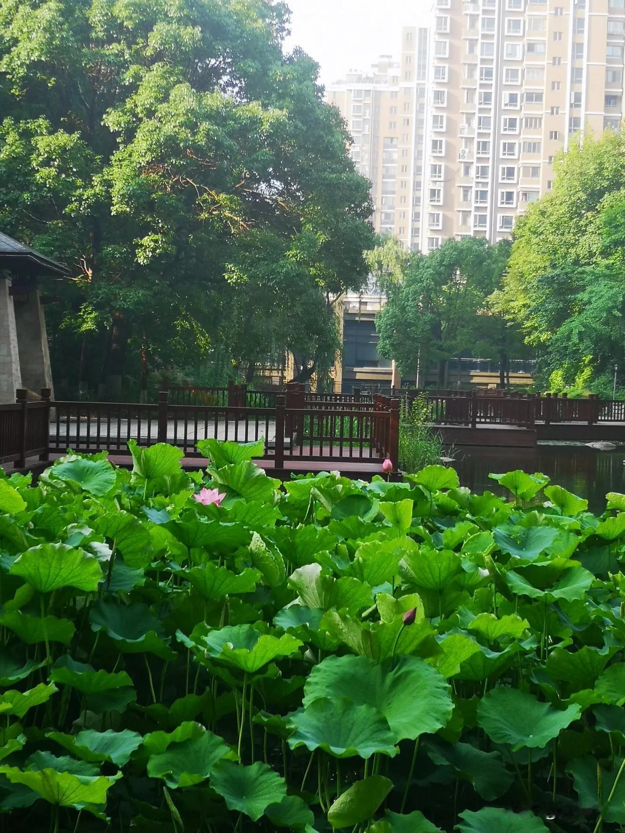 我发现：人一定要有自己的小爱好，比如有些女生爱看帅哥，买漂亮衣服，喜欢化妆，