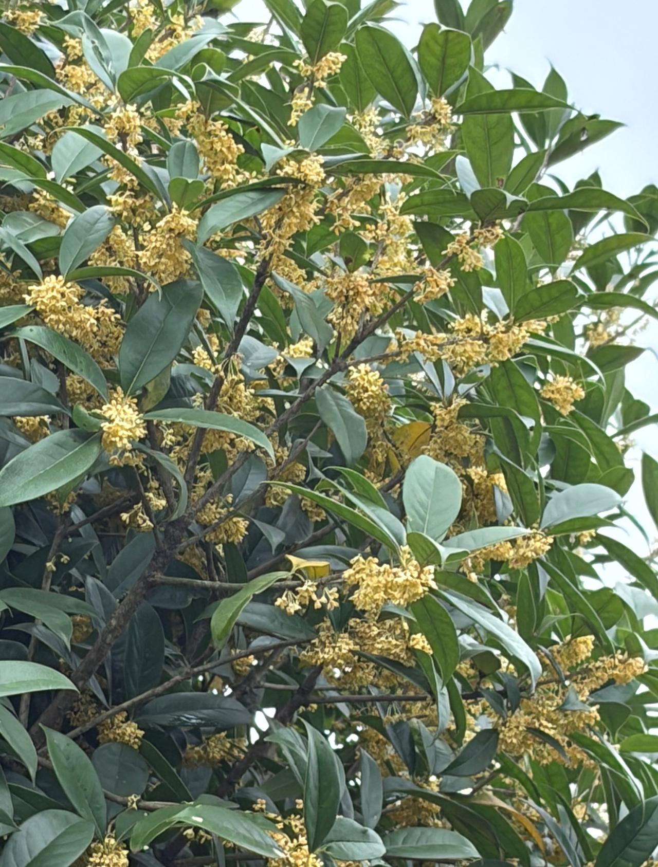 昨天晚上，跟一个同事聊天。她一句话，把我问得哑口无言：“你刚做完心脏手术，就