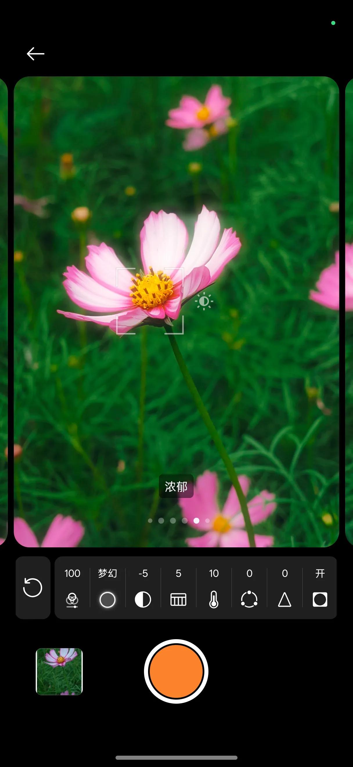 FindX8s的氛围感，我现在才知道😭📱以前用手机拍花总翻车要么颜色假