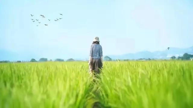 本次中东战争，哪家汽车企业影响最大？🏎️谁是最大受害者？STLA集团