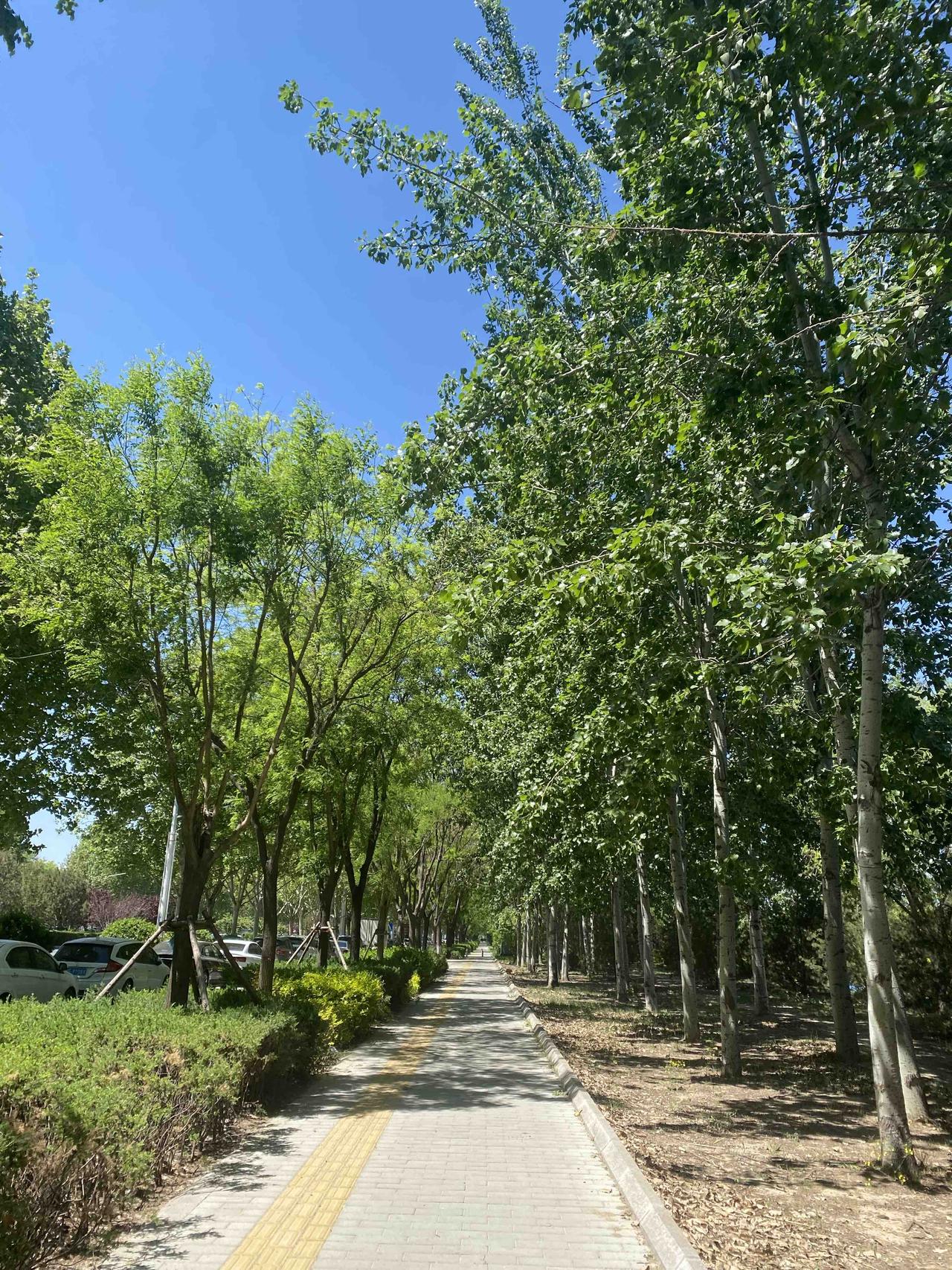 为什么大多数领导不但不做人而且看起来能力还不咋样？从命理学角度，领导和老板是