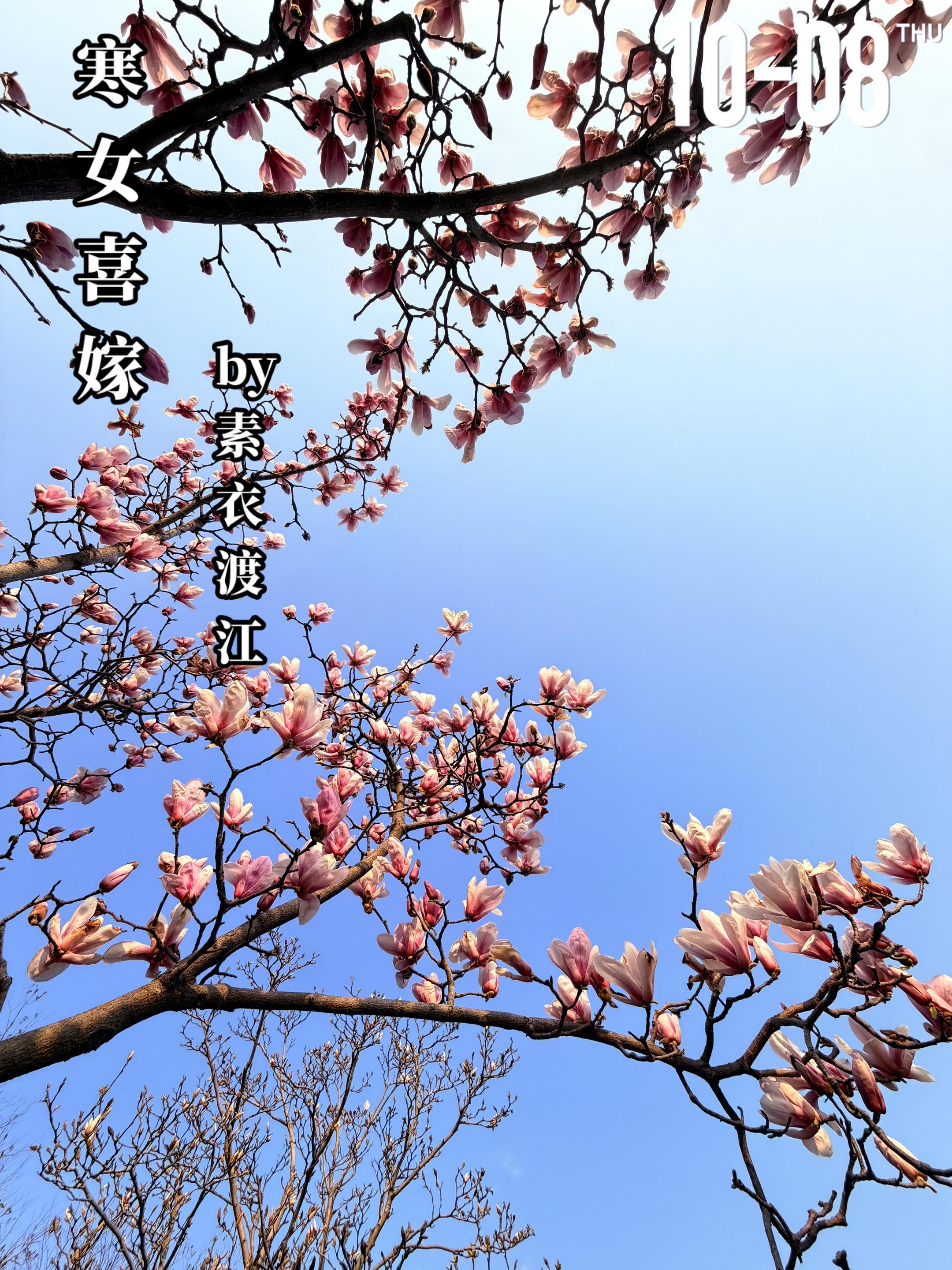 《寒女喜嫁》by素衣渡江。云映桥（女主）家中失事后，父亲带着她来到京城...