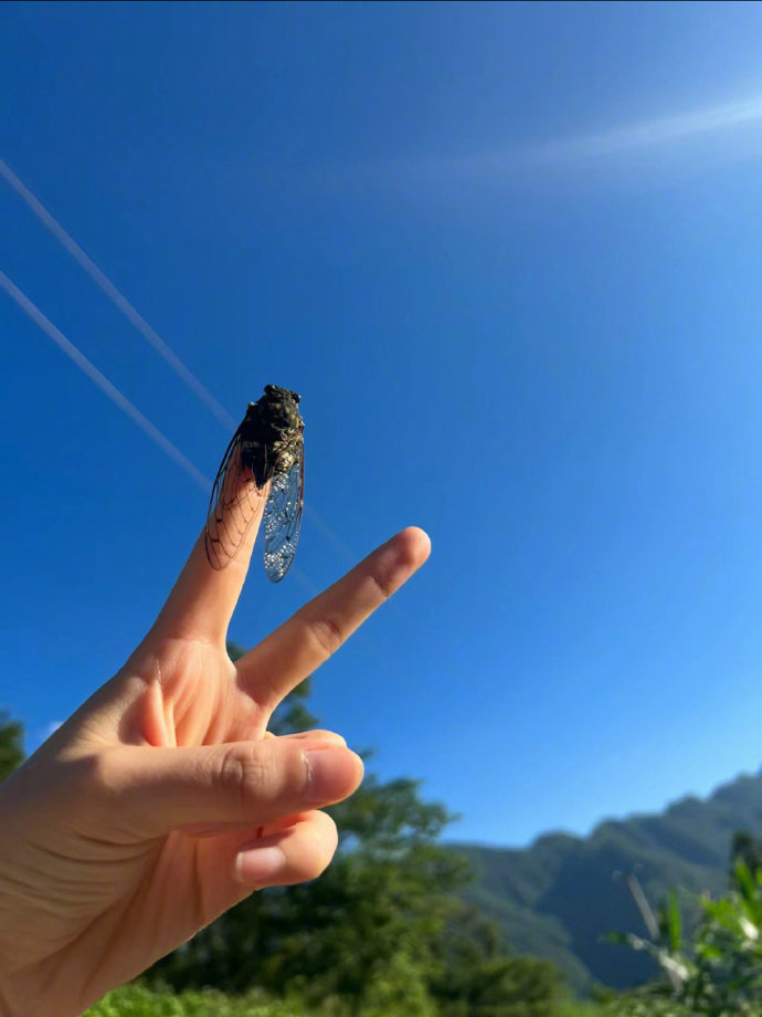 “如果治愈有景色，那一定是夏日的天空”