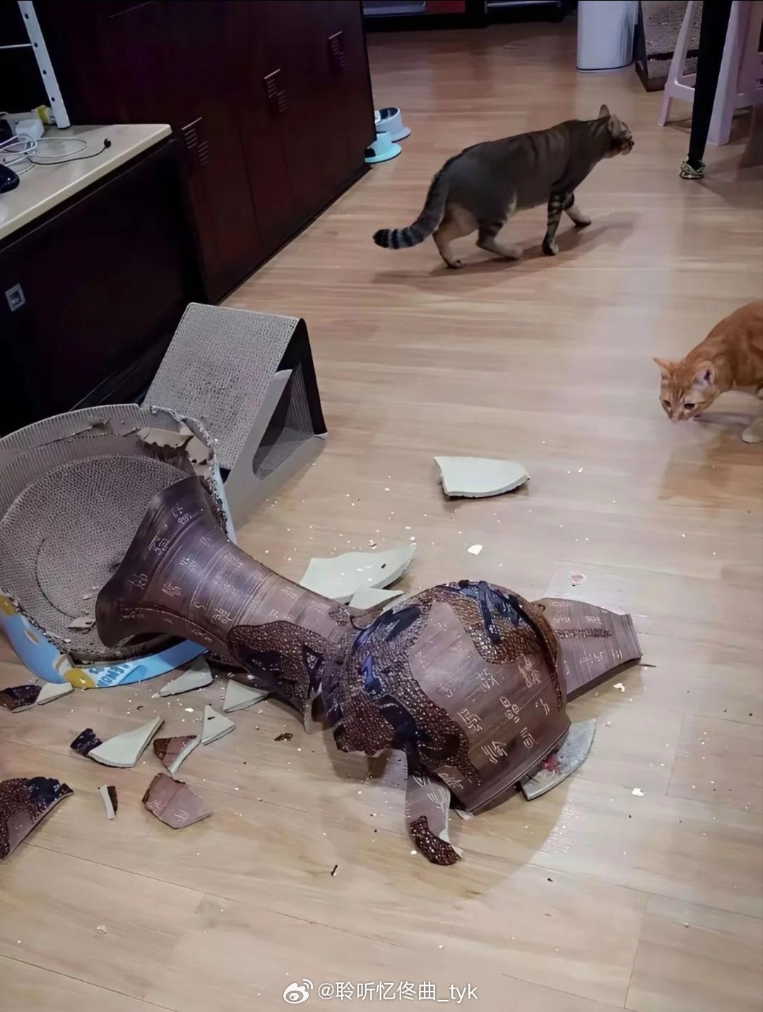 我的猫猫，把我家老祖宗留下来的百年古董弄坏了，