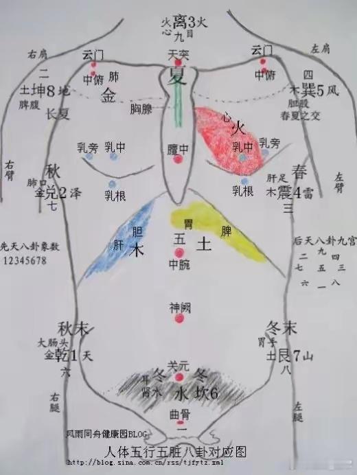 揉腹、推腹——几乎可以解决任何慢性病！揉腹养生，在我国已有数千年历史。在唐代，孙