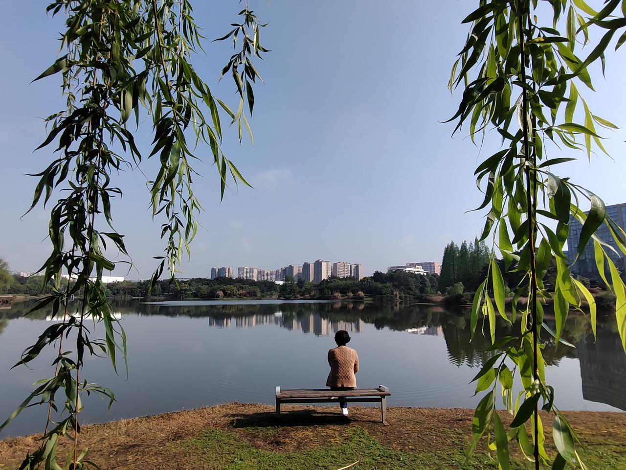 春风拂柳，湖面如镜，一人一椅，偷得浮生半日闲。城市在远处喧嚣，我在这方天地