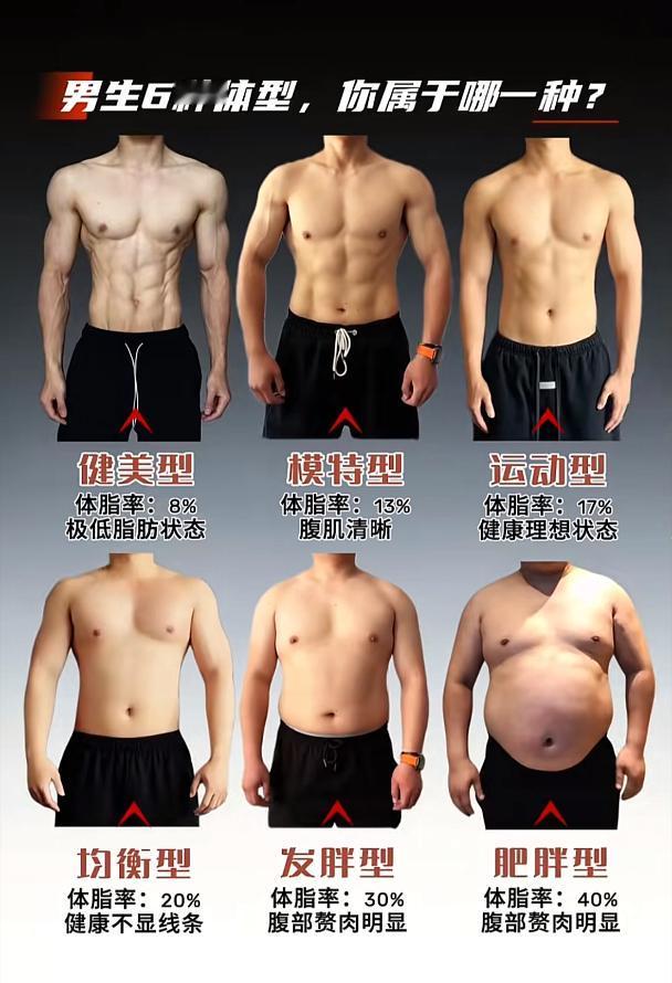 男生六种体型，你属于哪一种自己拍照对比了一下，感觉应该属于第三种，体脂率17%