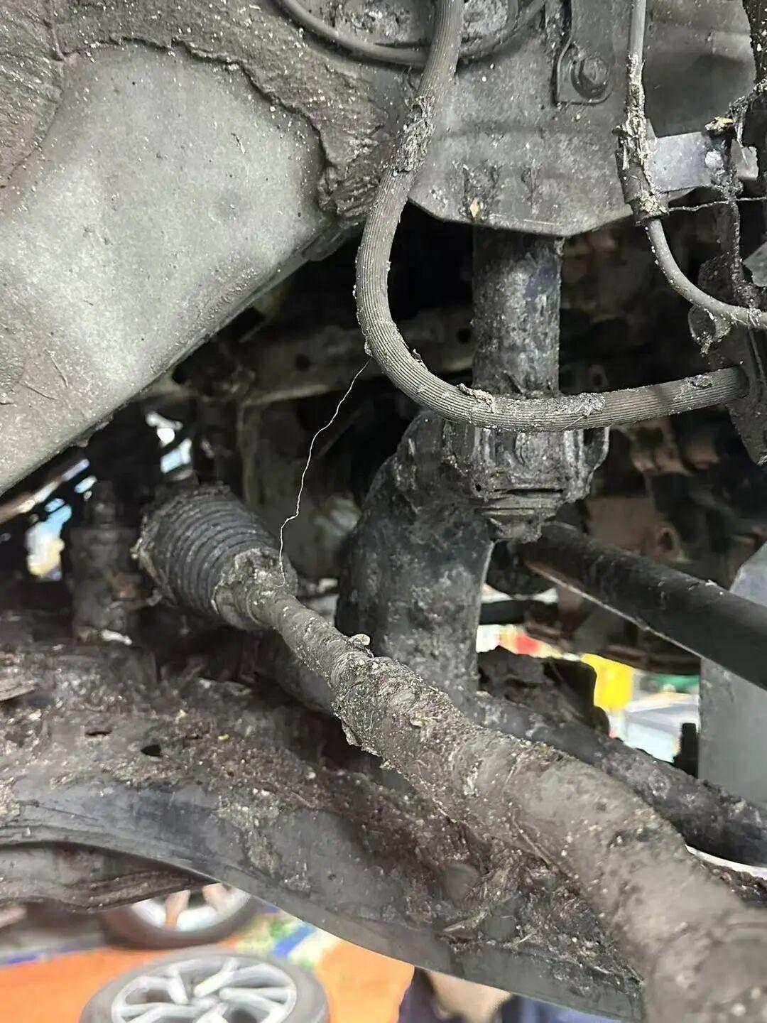 臭鱼烂虾毁车！43位车主洗5次仍恶臭，交警不认定+保险拒赔，公道何在？高速上