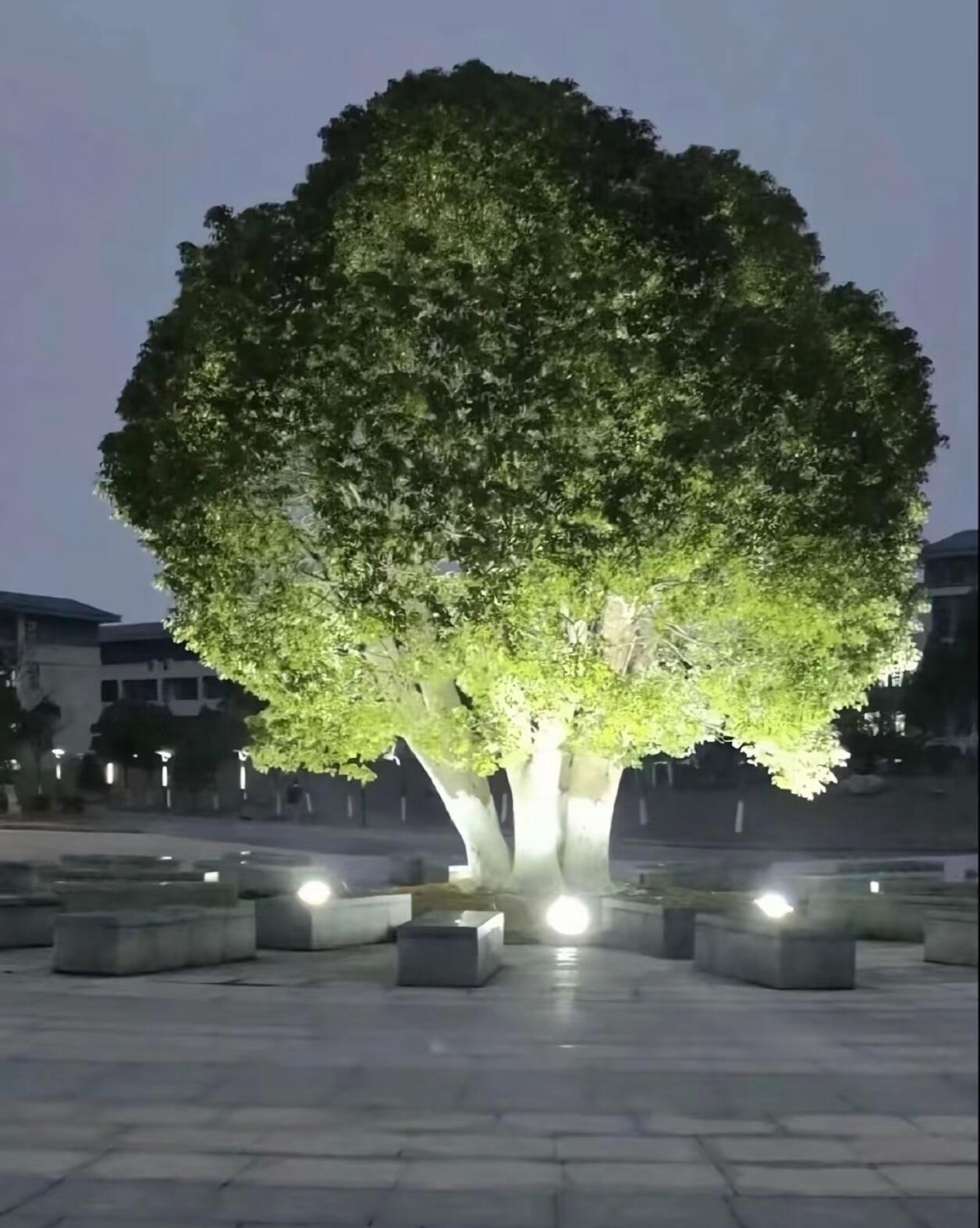 地球是奶油蛋糕