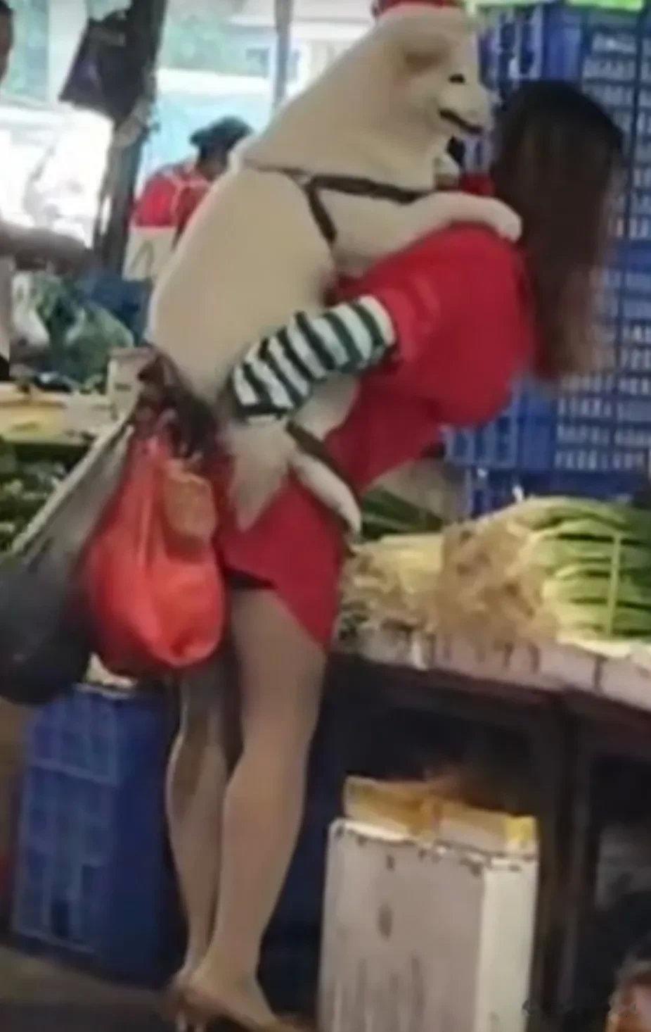 被爱狗人士震惊呆了，人啊有时候活着不如一条狗！这就是命啊不服不行！