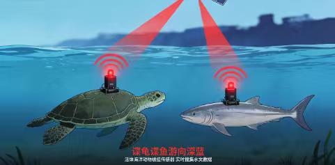 海面下的“谍战”：境外间谍竟用活龟活鱼窃取我国海洋机密“谍龟谍鱼”潜入我国海域