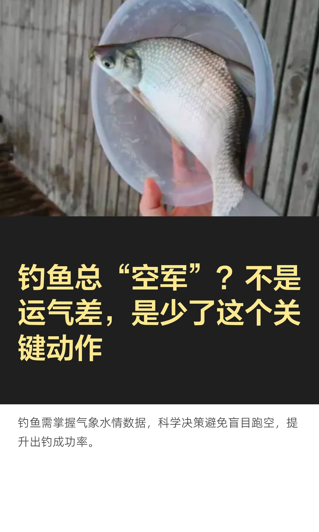 钓鱼总“空军”？不是运气差，是少了这个关