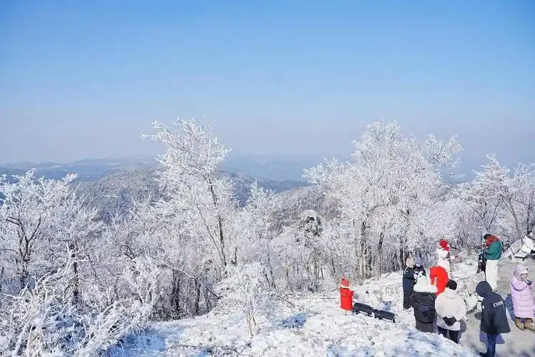浙江天台华顶山雾凇奇观引客来
