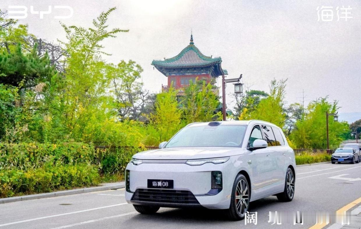 2026年纯电动汽车名牌排名：销量领先大牌：1.‌比亚迪‌‌‌‌全球新能源
