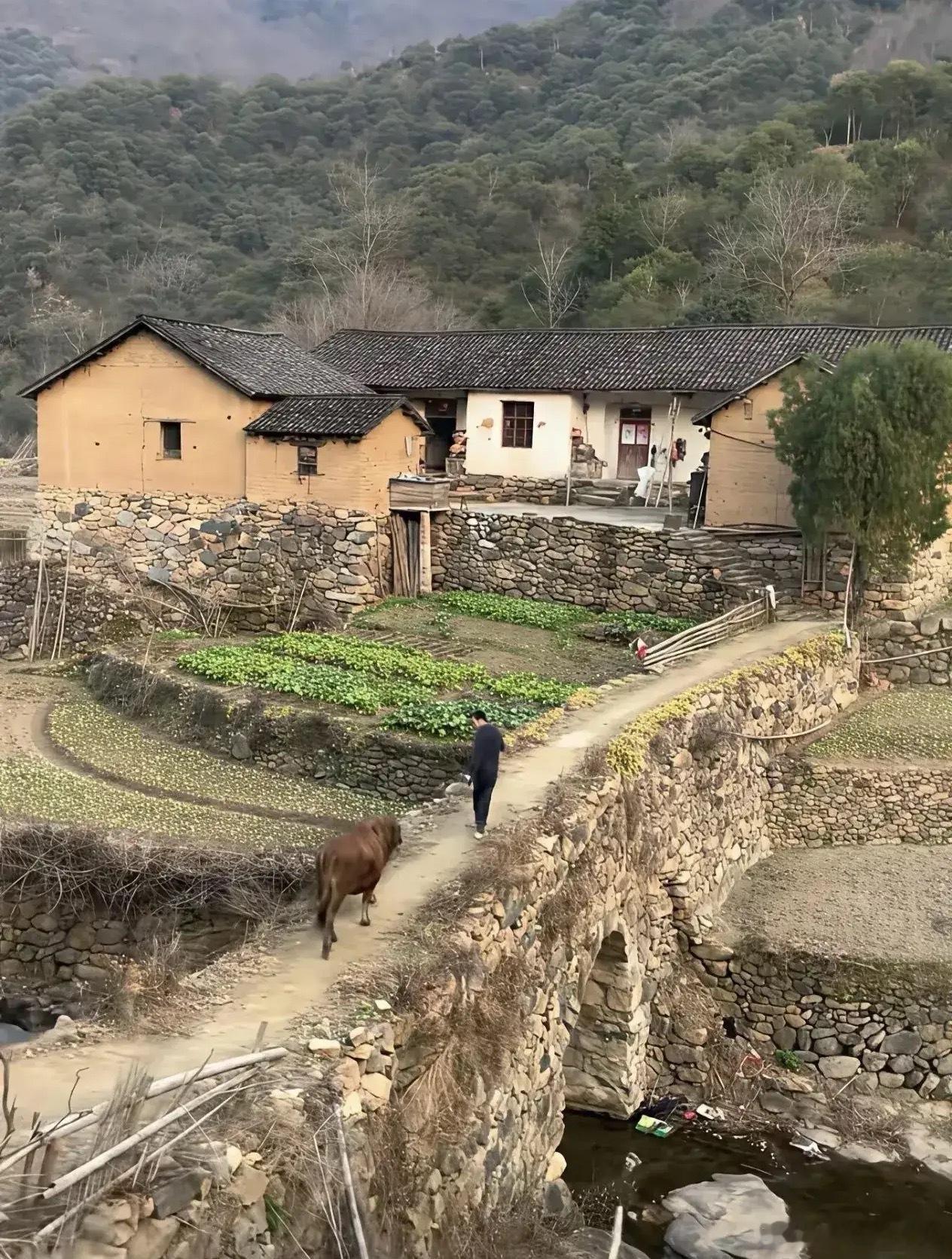 如果真的给钱，估计这里会挤满人了！