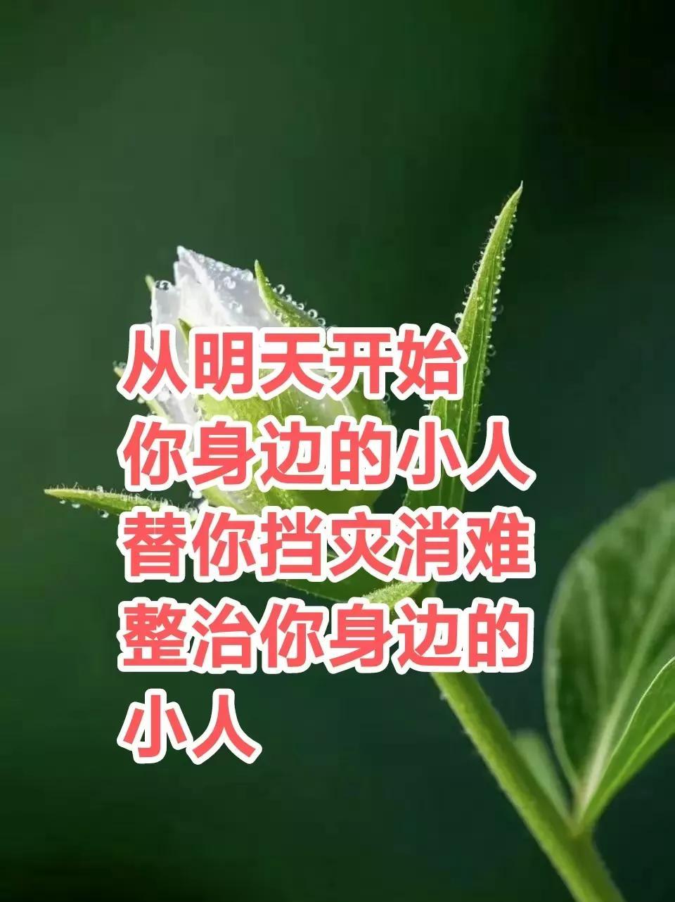 告诉你，从明天起，在你背后使损招的小人将替你担走霉运！他们碰壁倒霉，你只管静享