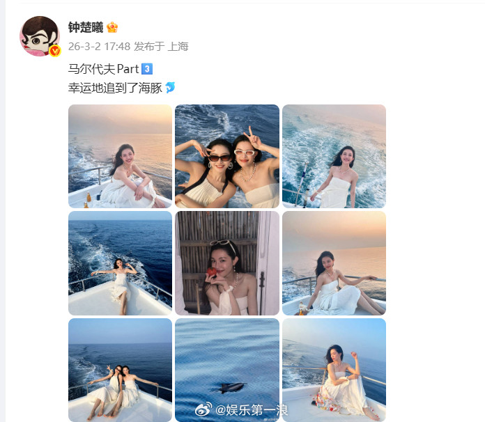 钟楚曦追到海豚了好幸运！