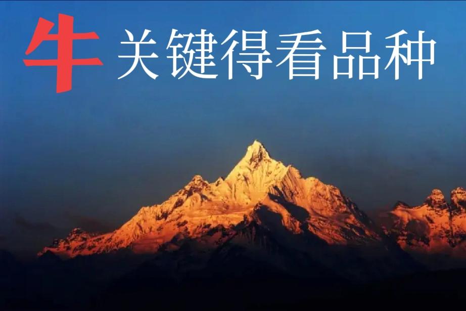 房子涨价谁受益？卖的都受益...股票涨价谁受益？买的都受益...人民币升值谁