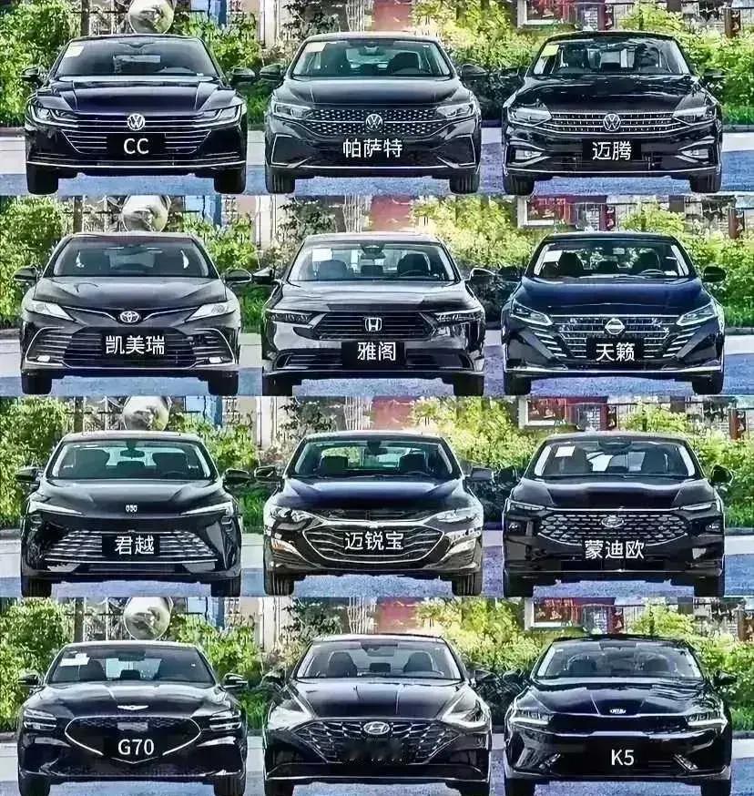 只看脸蛋，你更喜欢哪一款呢？​​​
