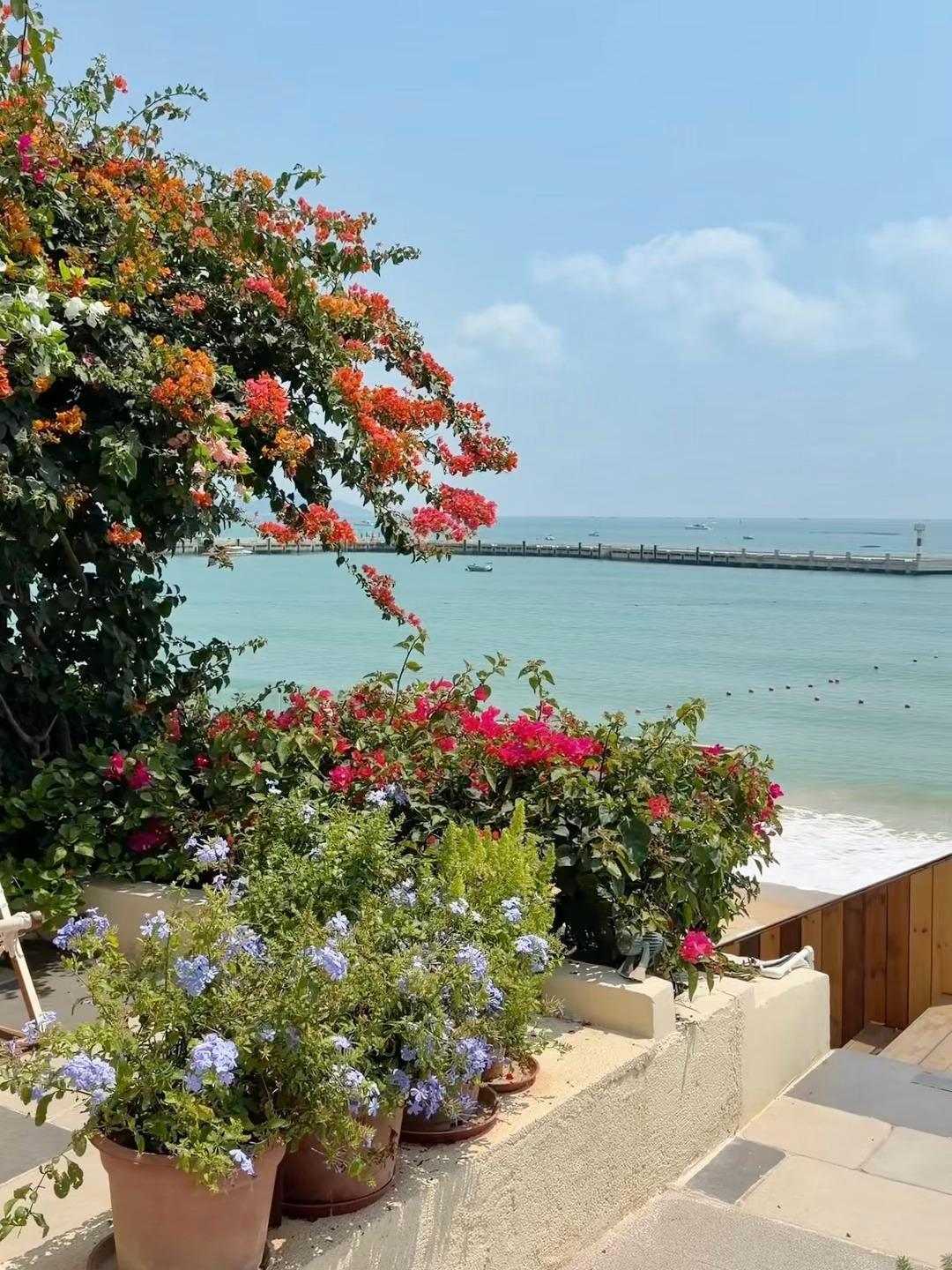 自信且娇艳🌊🍋