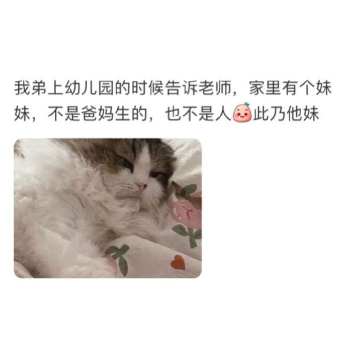 小朋友的语言体系能有多可爱