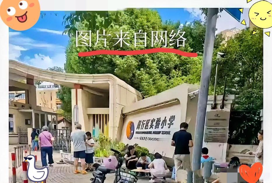 罗永浩终于谈上海学生餐了！不是冲着火出圈的“虾仁发臭”，也不是心疼家长们的集
