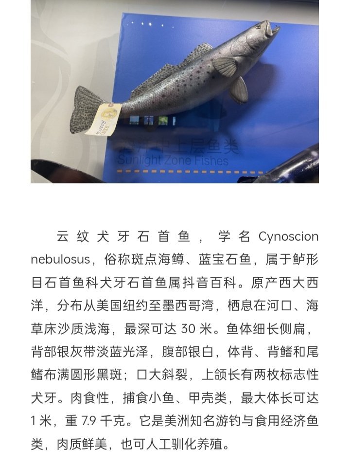 不愧是省会城市，我都有点过意不去。🥲​​​