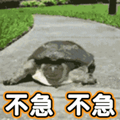 确实有科学研究发现，人体在34岁会经历“断崖式衰老”。新陈代谢就像图片的乌龟一样