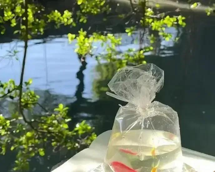 协和开了个生育心理门诊，我第一反应是终于有人把“想生”和“能生”拆开聊。报告说